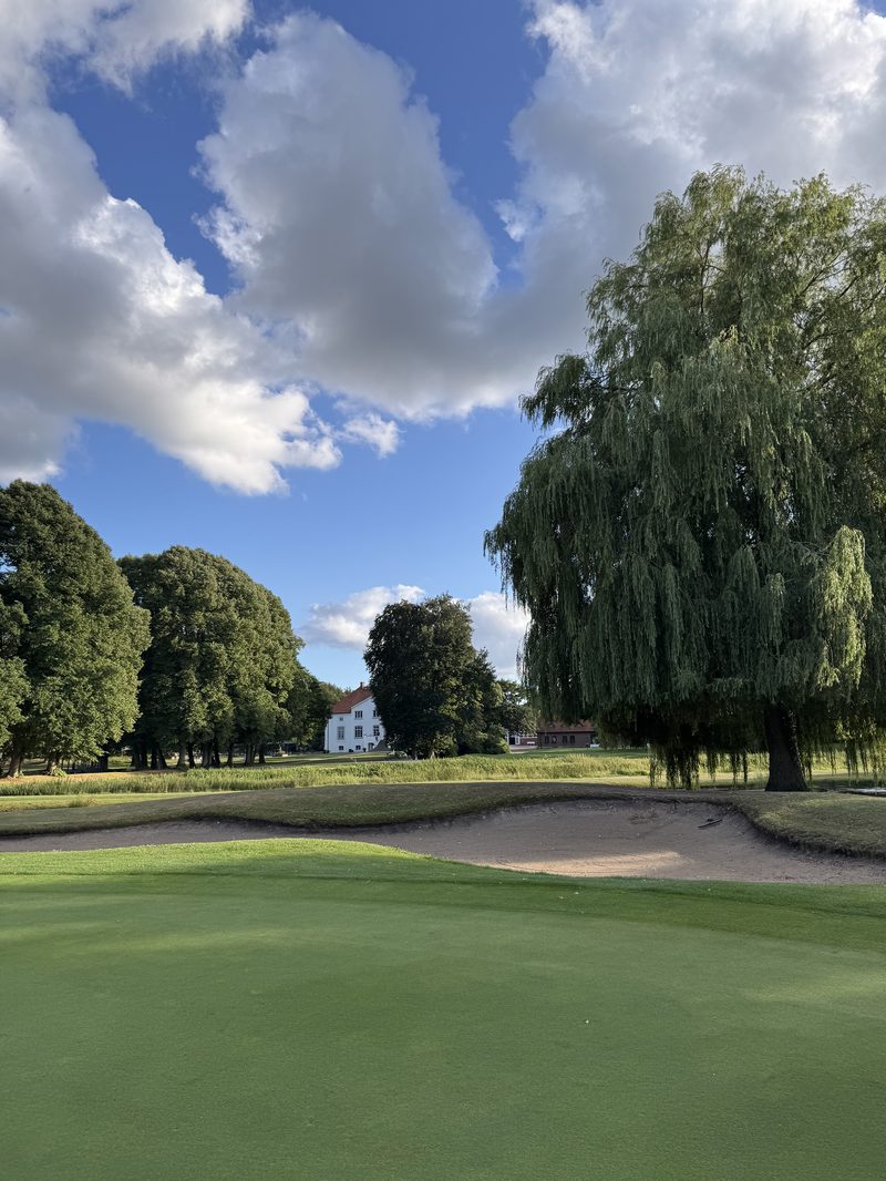 Grün mit Bunker und Trauerweide vor dem Gutshaus von Gut Glinde bei Hamburg